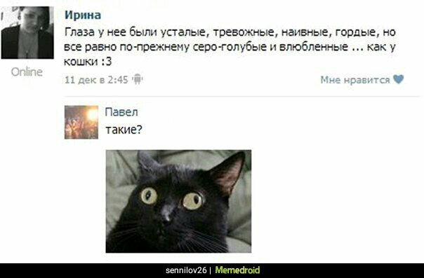 Ирина Глаза нее были усталые тревожные наивные гордые на все равно паж прежнему серо голубые влюбленные как у кошки 3 Павел такие