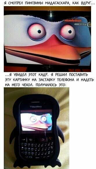 ширм пингвины ммм кдрА кАк БАМ тидт этот тд и решил потеть гу мииику нА шивку тыеФонА и имен НА мега чаи памчилось это