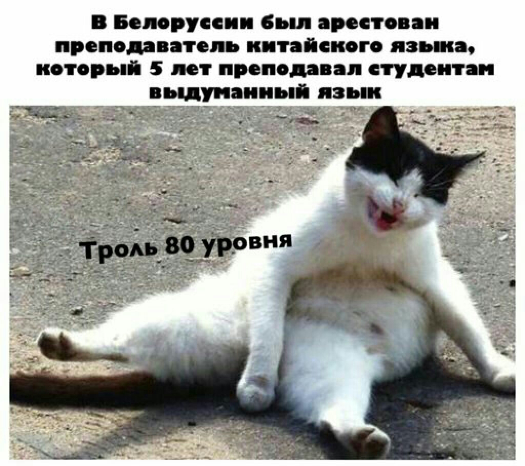 В Белоруссии бьш ареетован преподаватель китайского нав са который 5 лет преподавал студентам выдуманный язь