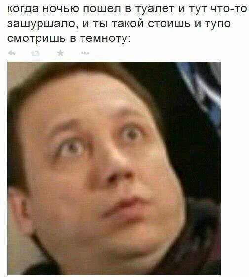 когда НОЧЬЮ пошел В туалет И ТуТ ЧТО ТО 3ашуршапо И ТЫ такой СТОИШЬ И ТуПО СМОТРИШЬ В ТБМНОТу