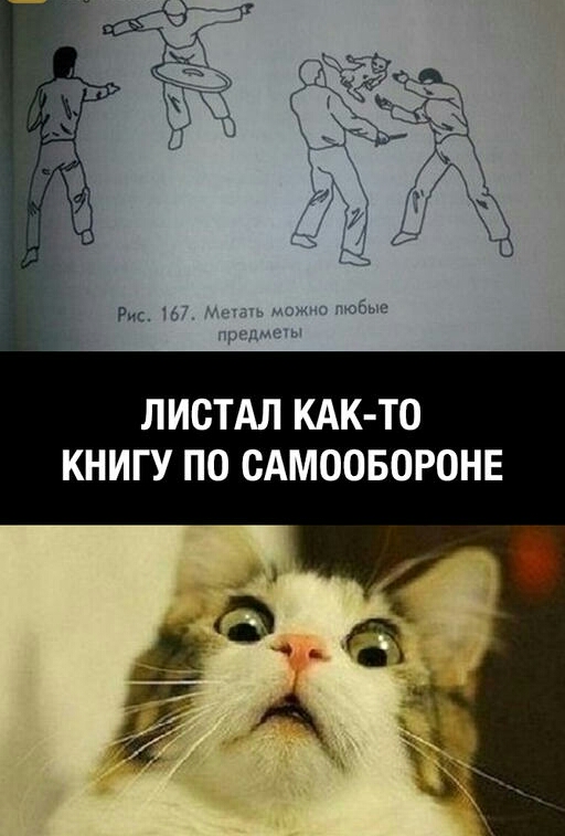 ЛИСТАЛ КАК ТО КНИГУ ПО САМООБОРОНЕ