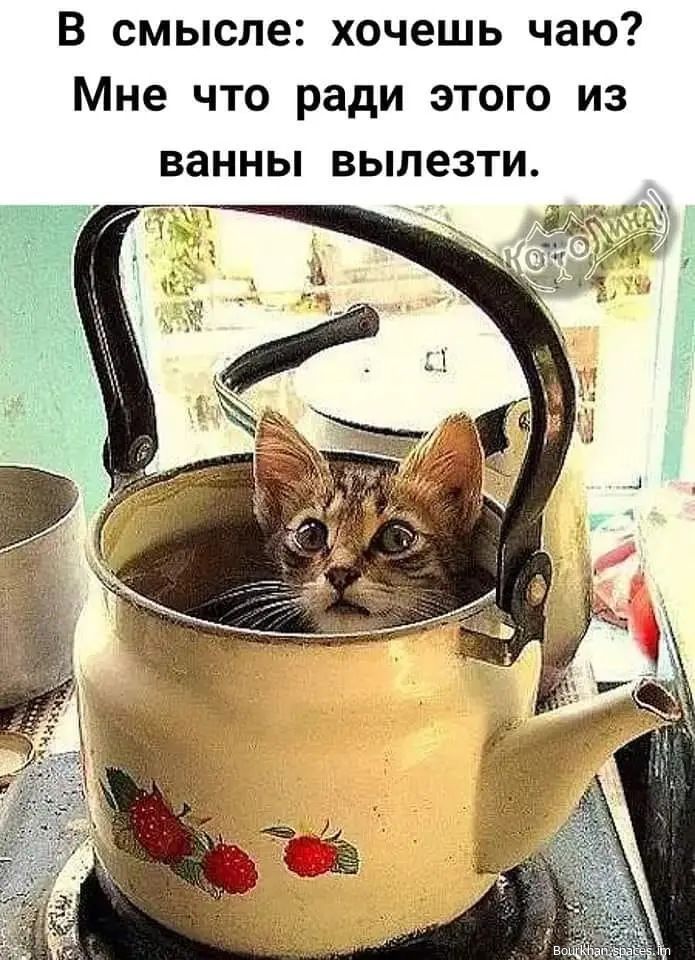В смысле хочешь чаю Мне что ради этого из ванны вылезти