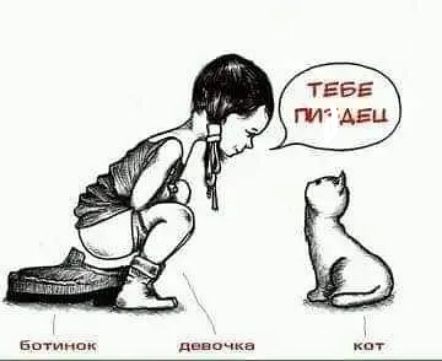 дипв кат Батииип