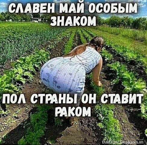 СААВЕН МАИ ОСОБЫМ __ от