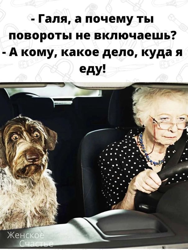 Галя а почему ты повороты не включаешь А кому какое дело куда я