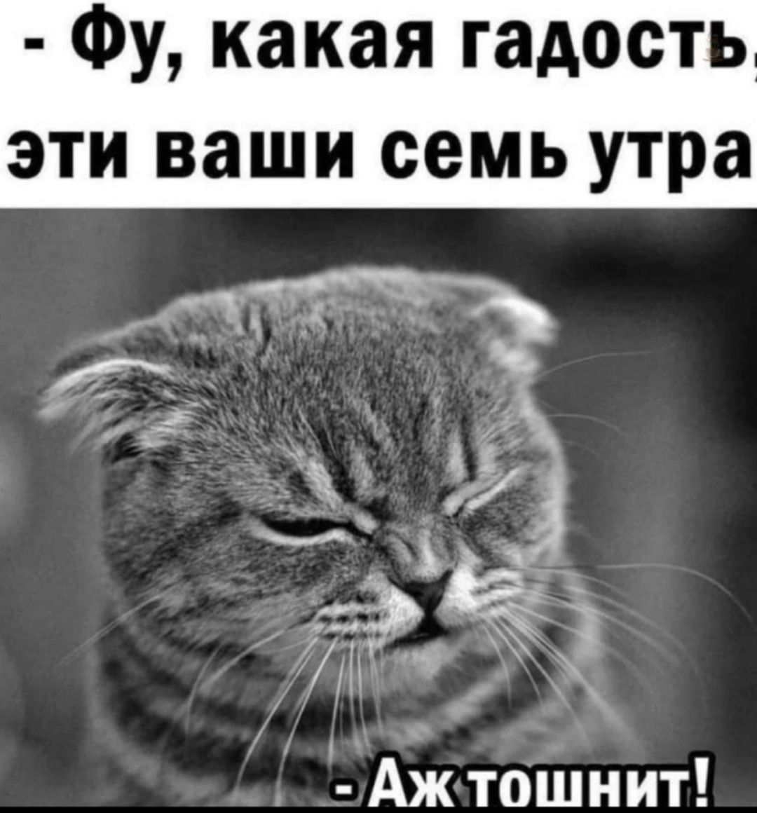 Фу какая гадость эти ваши семь утра Аж тошнит