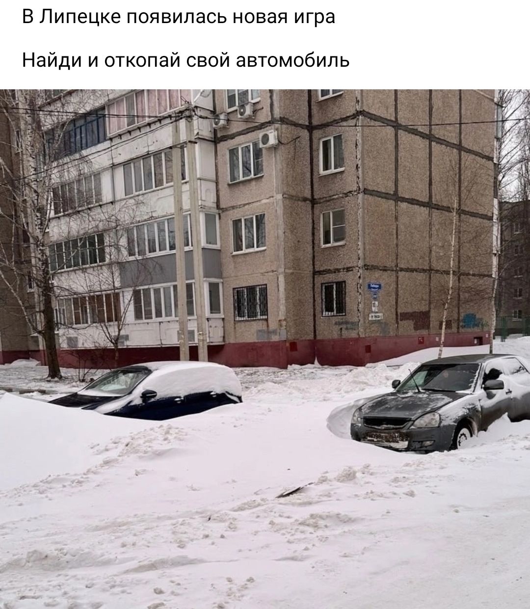 В Липецке появилась новая игра Найди и еткопай свой автомобиль