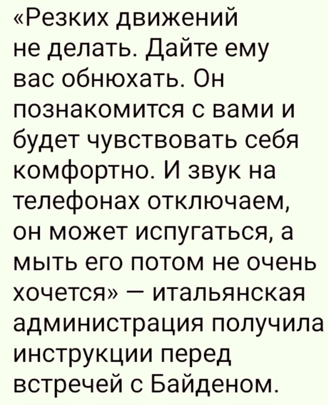 Резких движений не делать Дайте ему вас обнюхать Он познакомится с вами и будет чувствовать себя комфортно И звук на телефонах отключаем он может испугаться а мыть его потом не очень хочется итальянская администрация получила инструкции перед встречей с Байденом