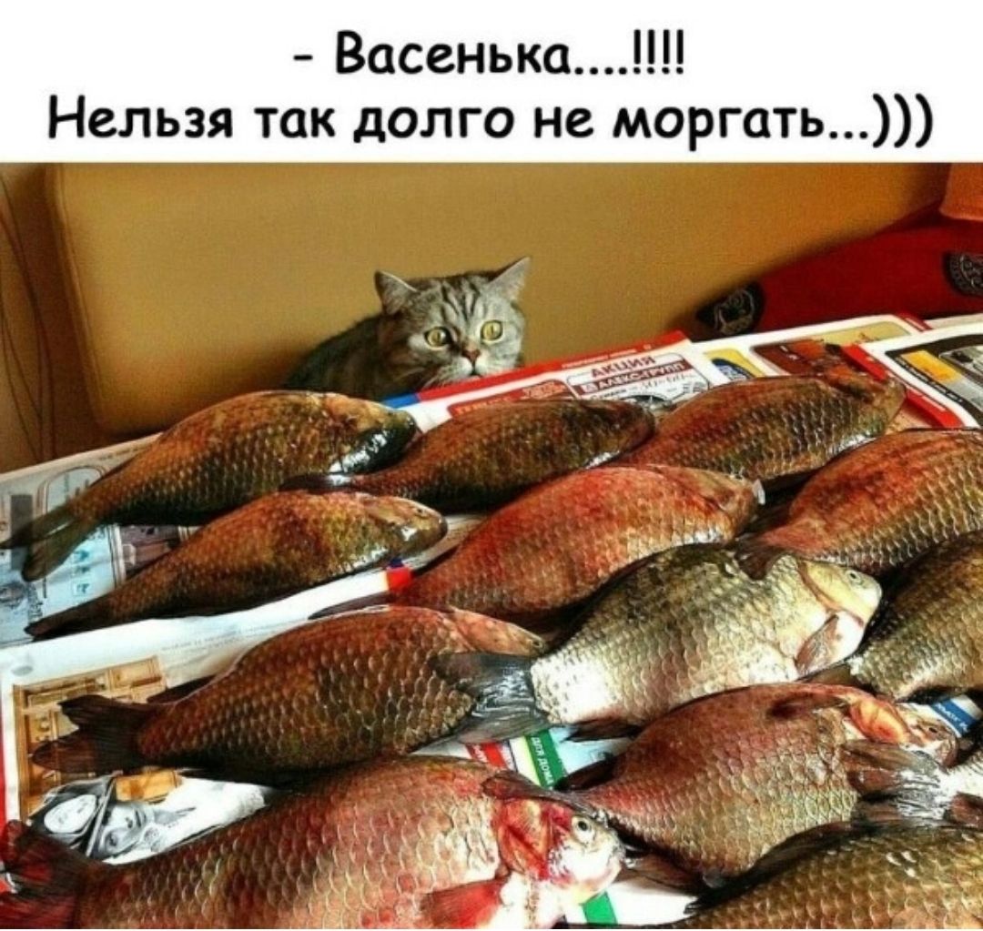 Васенька Нельзя так долго не моргать