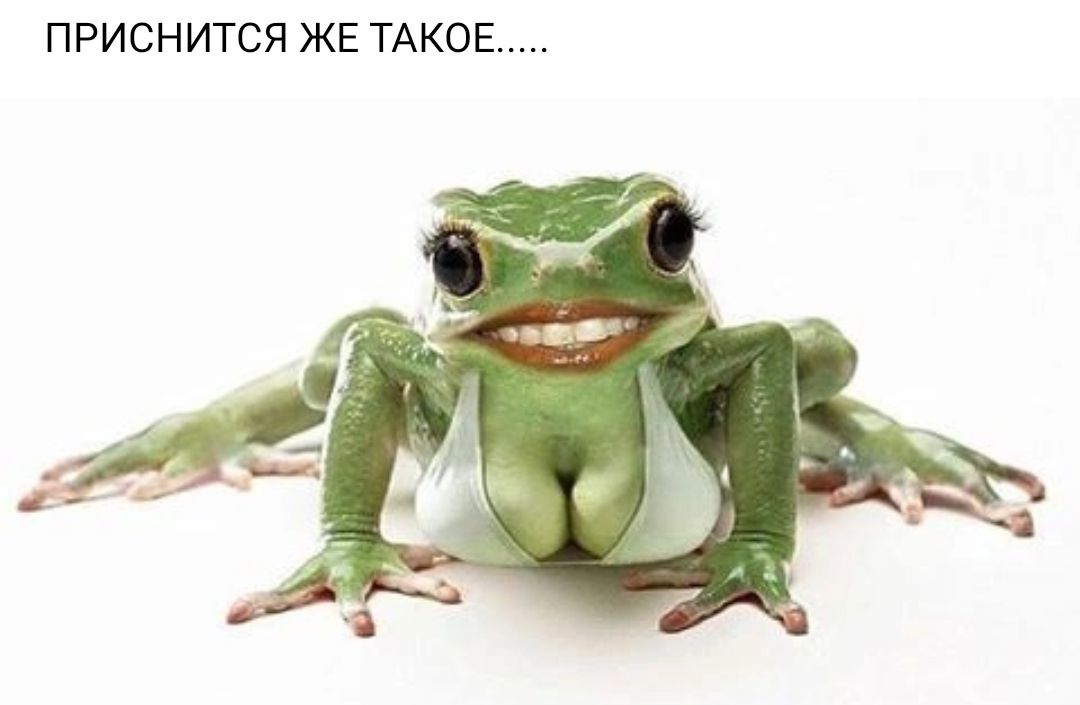 ПРИСНИТСЯ ЖЕ ТАКОЕ