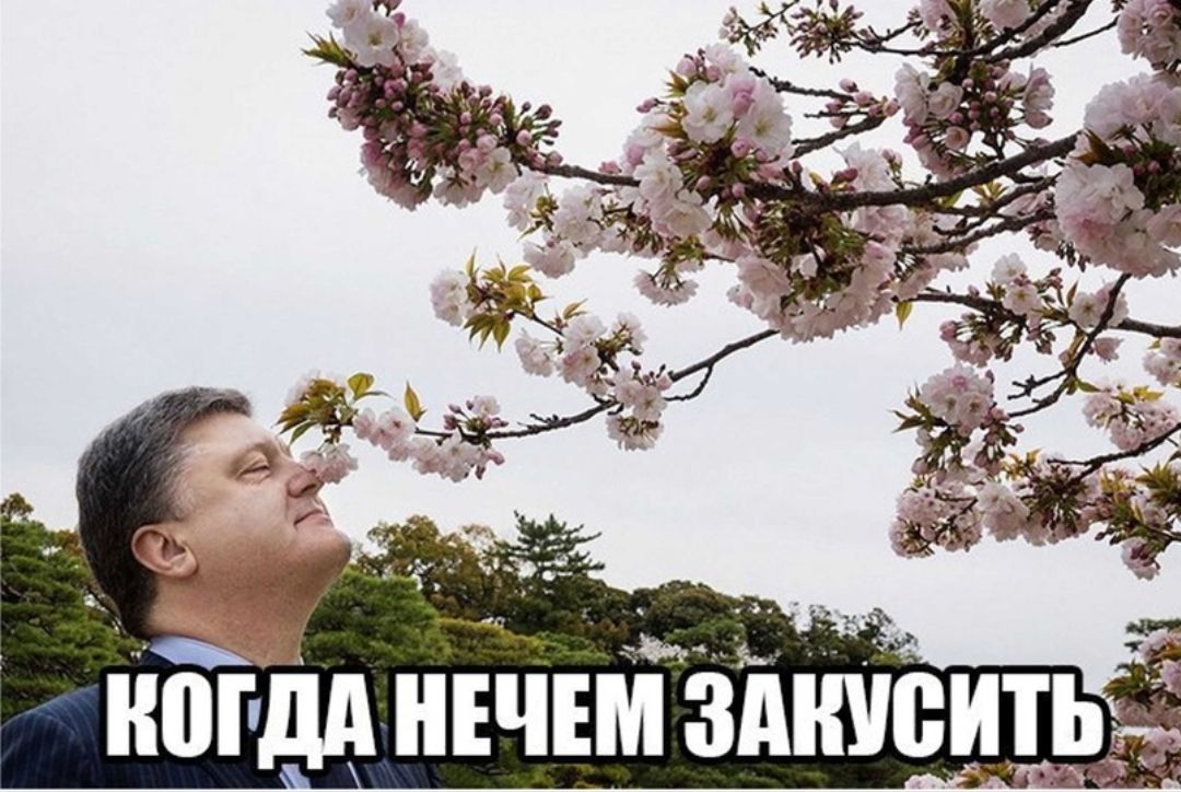 ногдд НЕЧЕМ змшсить