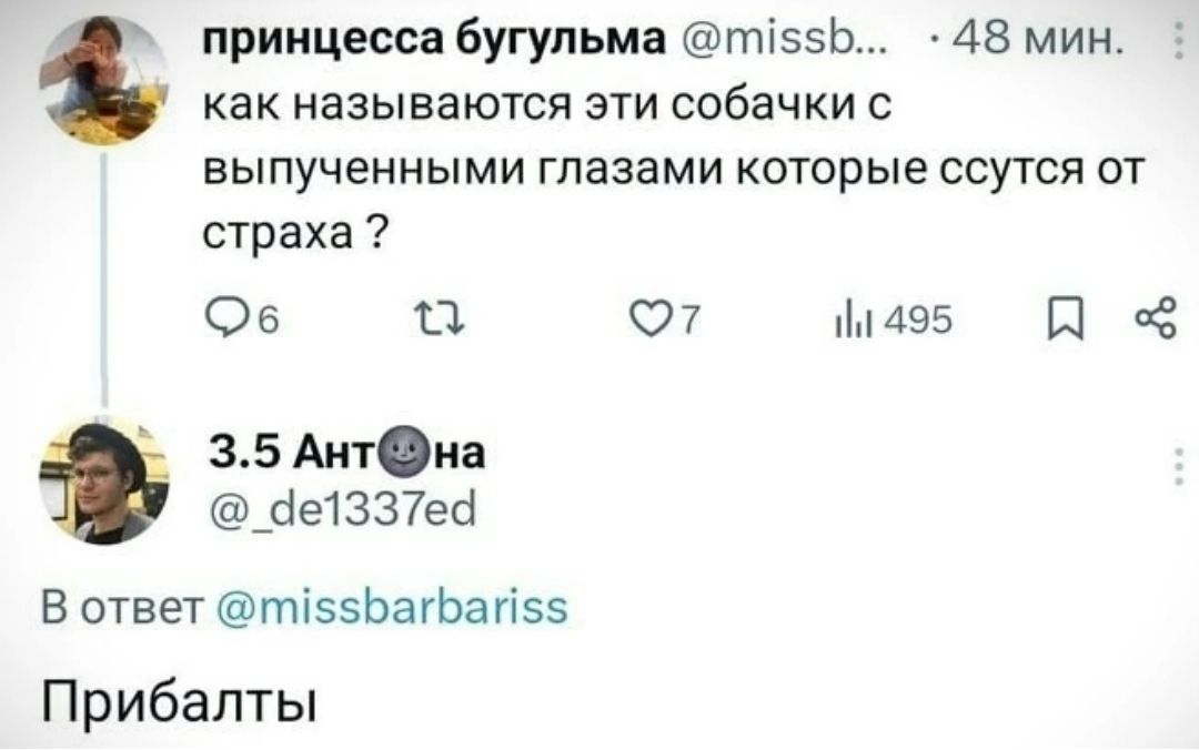 принцесса бугупьме тіззь 45 мин как называются эти собачки с выпученными глазами которые ссутся от страха 06 О 07 495 П 35 Антна _ае1337еа В ответ тізэЬагЬагі55 Прибалты