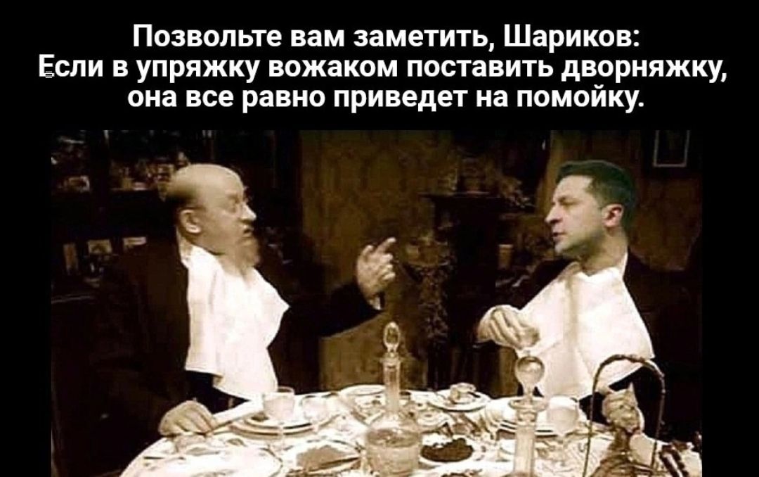 Познмьте пм заметить Шариков Если в упряжку вожаком поставить дирияжку она все равно приведет на помойку