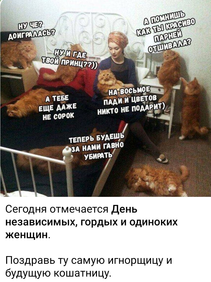 Сегодня отмечается День независимых гордых и одиноких женщин Поздравь ту самую игнорщицу и будущую кошатницу