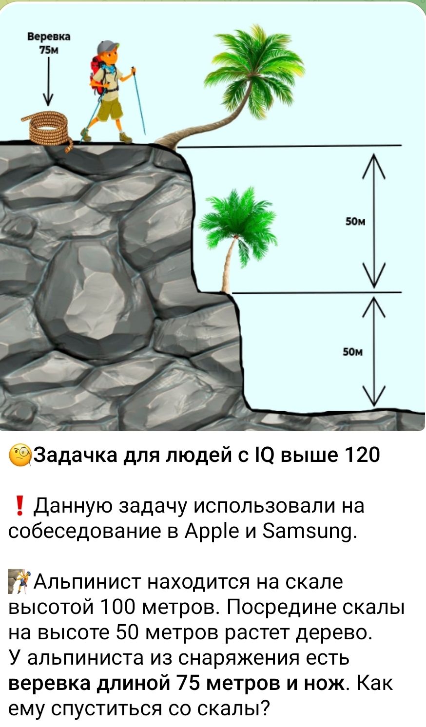 Задачка для людей с IQ выше 120. Данную задачу использовали на собеседовании в Apple и Samsung. Альпинист находится на скале высотой 100 метров. Посредине скалы на высоте 50 метров растет дерево. У альпиниста из снаряжения есть веревка длинной 75 метров и нож. Как ему спуститься со скалы?