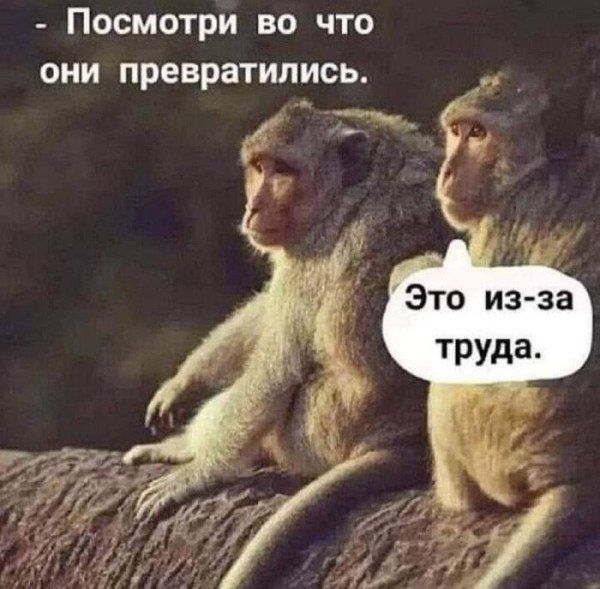 - Посмотри во что они превратились.
- Это из-за труда.