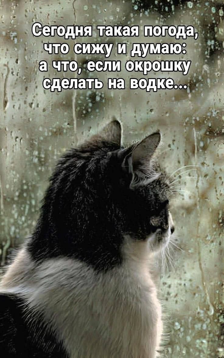 Сегодня такая погода, что сижу и думаю: а что, если окрошку сделать на водке...