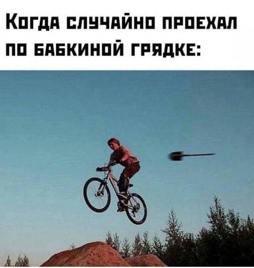 Когда случайно проехал по бабкиной грядке: