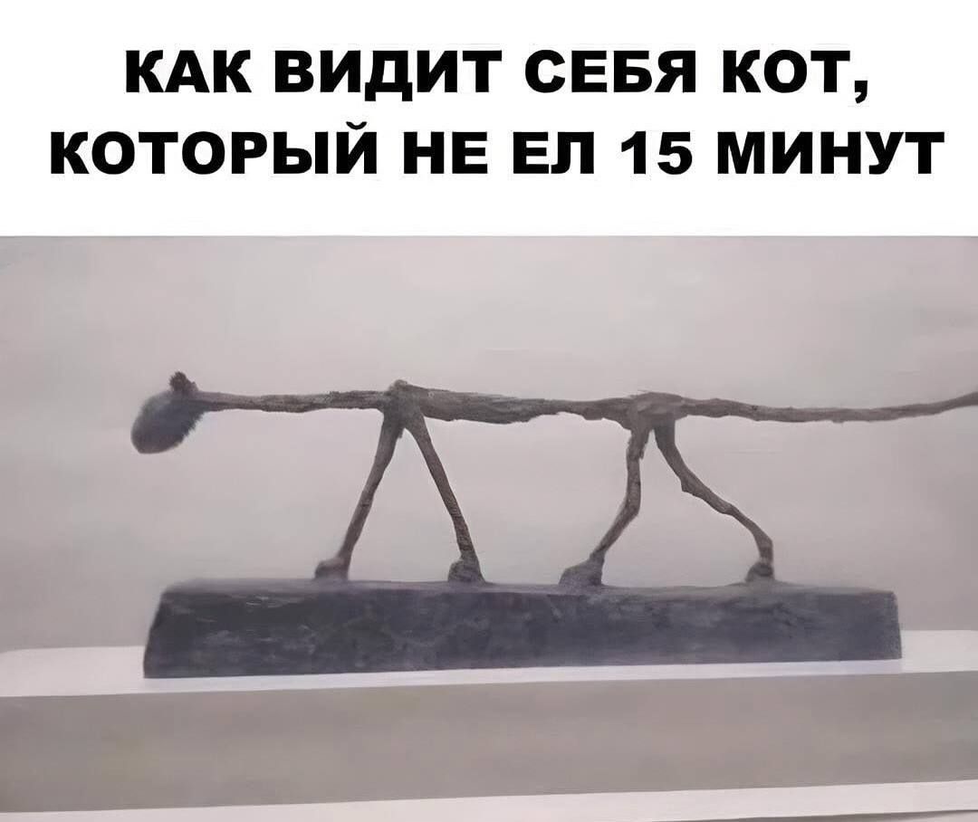 КАК ВИДИТ СЕБЯ КОТ, КОТОРЫЙ НЕ ЕЛ 15 МИНУТ