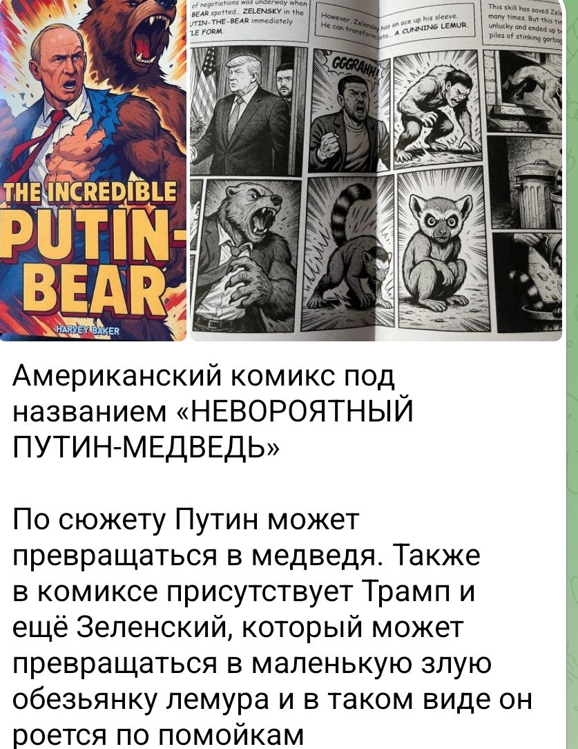 Американский комикс под названием «НЕВЕРОЯТНЫЙ ПУТИН-МЕДВЕДЬ»
По сюжету Путин может превращаться в медведя. Также в комиксе присутствует Трамп и ещё Зеленский, который может превращаться в маленькую злую обезьянку-лемура и в таком виде он роется по помойкам.