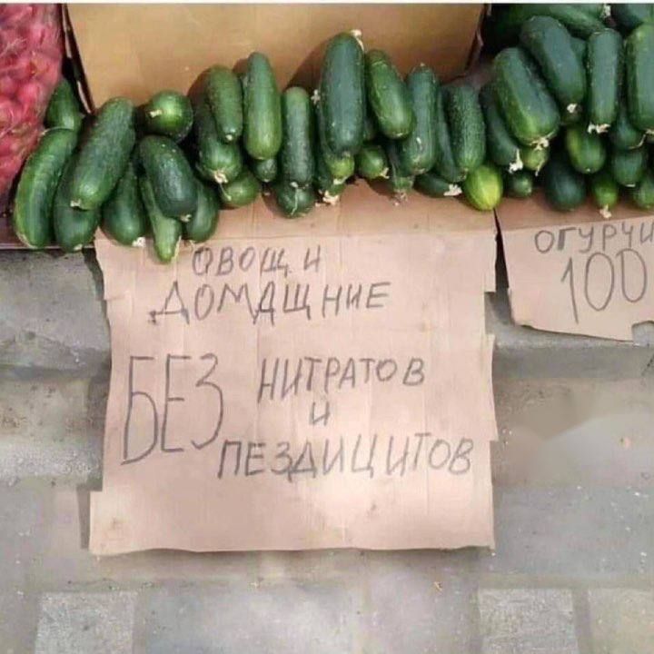Овощи домашние БЕЗ нитратов и пестицидов
Огурцы 100
