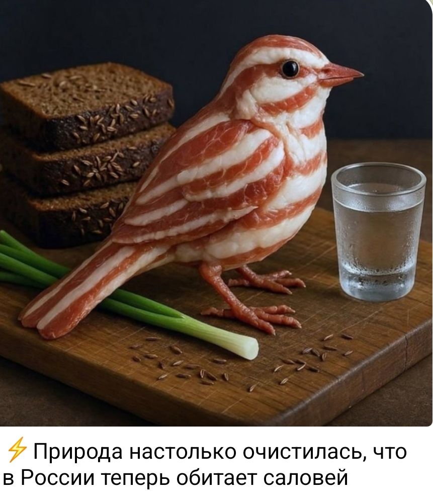 Природа настолько очистилась, что в России теперь обитает саловой.