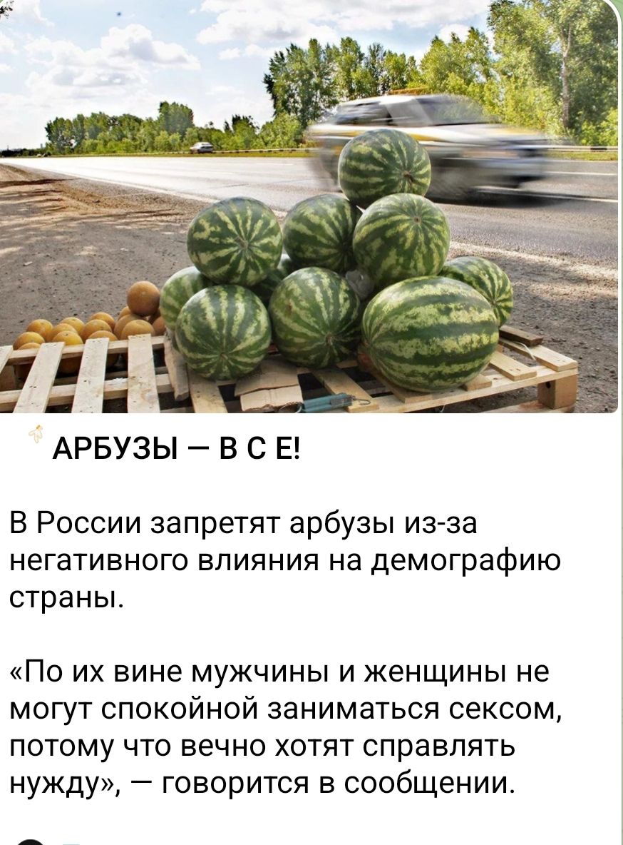 АРБУЗЫ — В С Е!
В России запретят арбузы из-за негативного влияния на демографию страны.
«По их вине мужчины и женщины не могут спокойной заниматься сексом, потому что вечно хотят справлять нужду», — говорится в сообщении.
