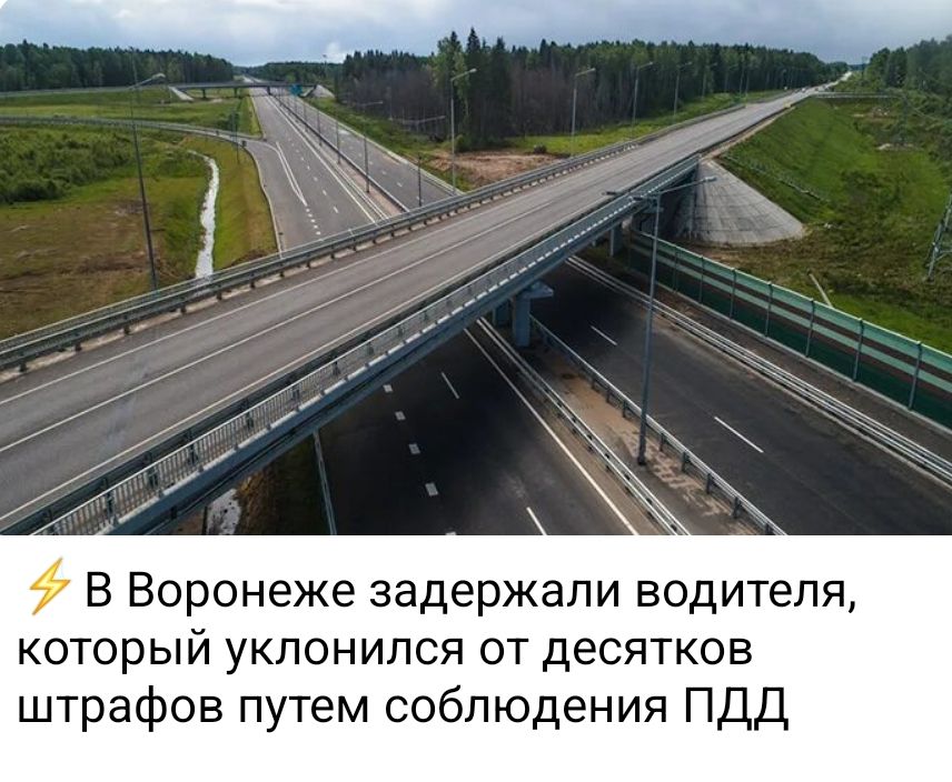В Воронеже задержали водителя, который уклонился от десятков штрафов путем соблюдения ПДД