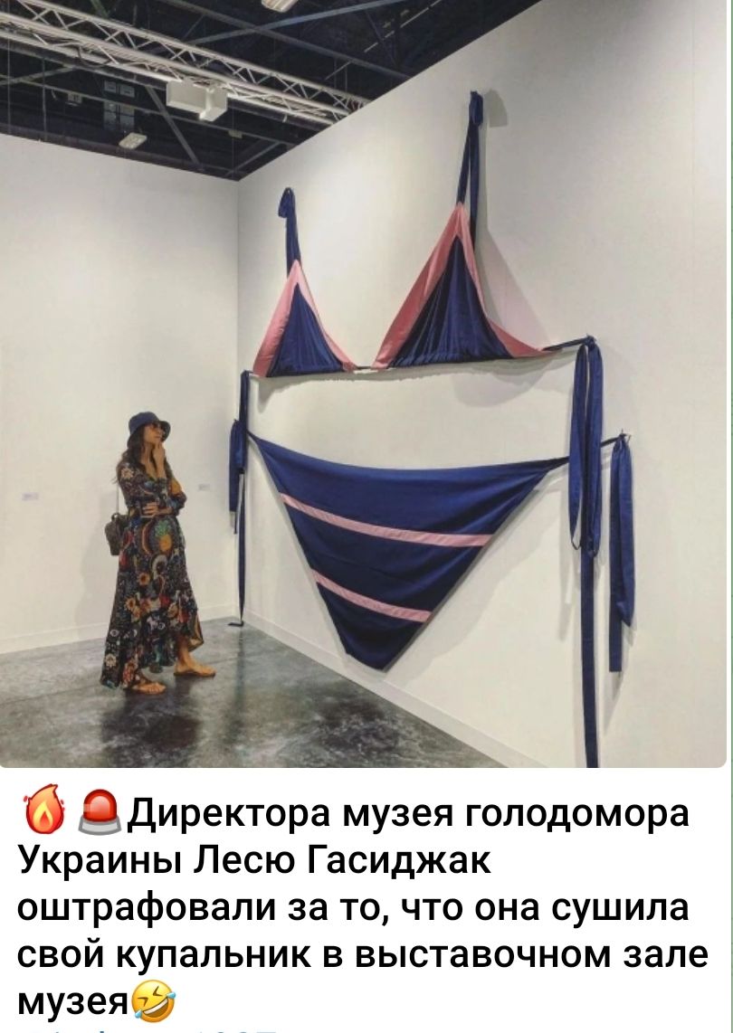 Директора музея голодомора Украины Лесю Гасиджак оштрафовали за то, что она сушила свой купальник в выставочном зале музея.