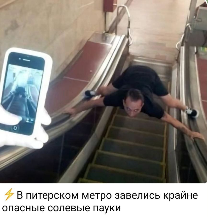 В питерском метро завелись крайне опасные солевые пауки