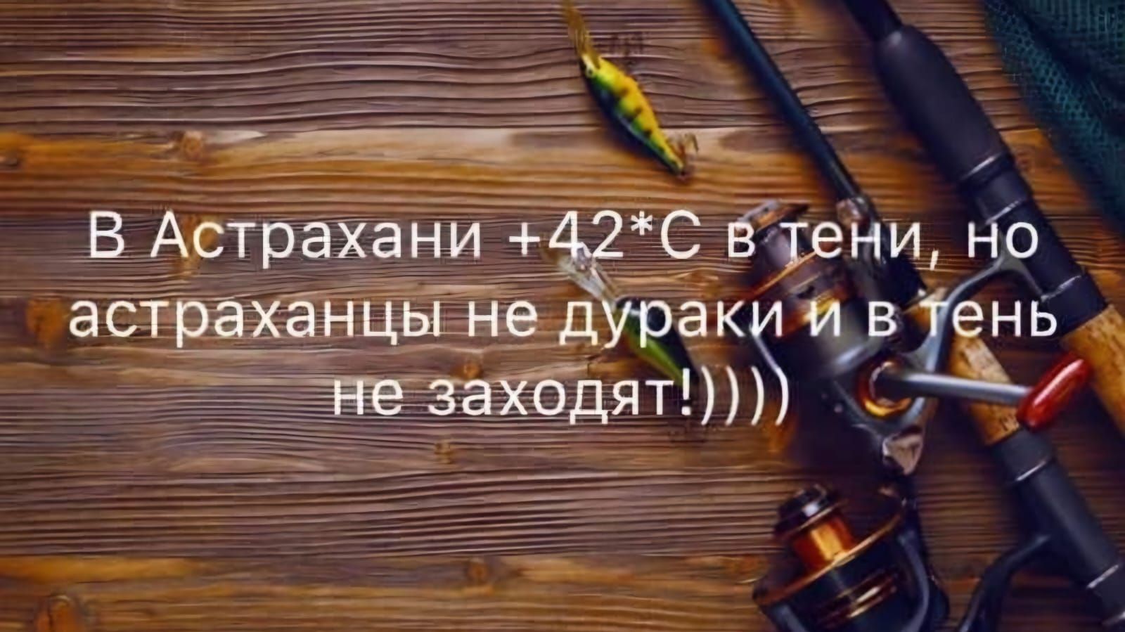 В Астрахани +42*C в тени, но астраханцы не дураки и в тень не заходят!))))