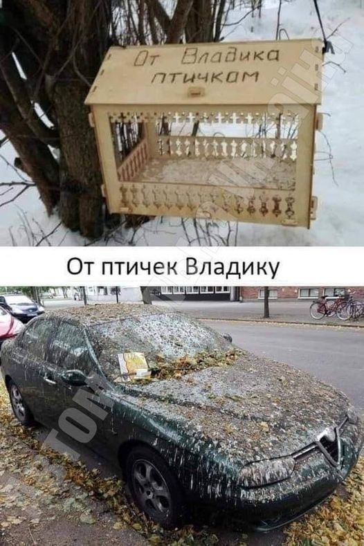 От ВладИка птичком

От птичек Владику