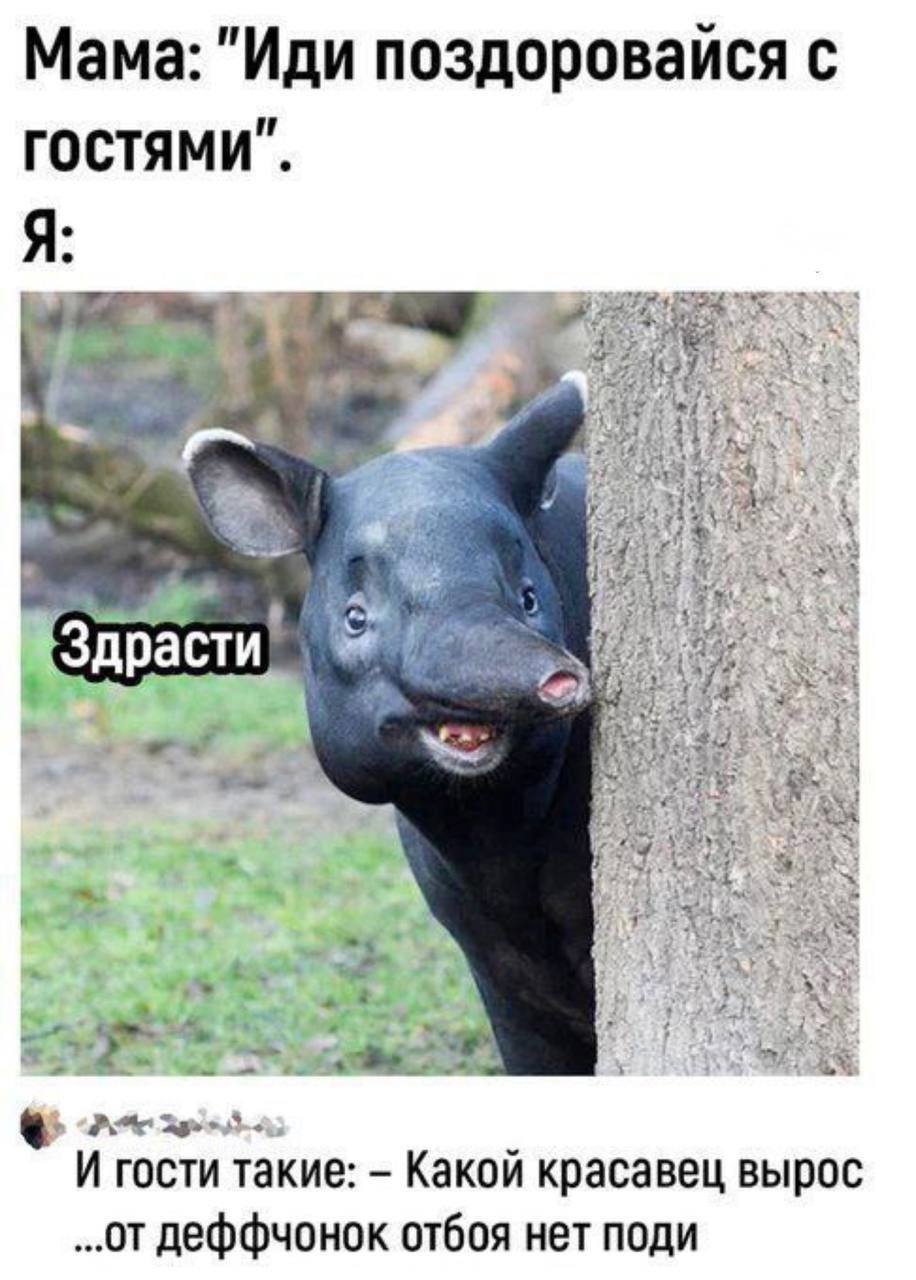 Мама: 