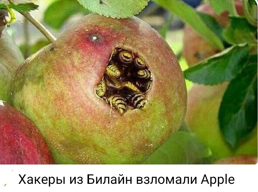 Хакеры из Билайн взломали Apple