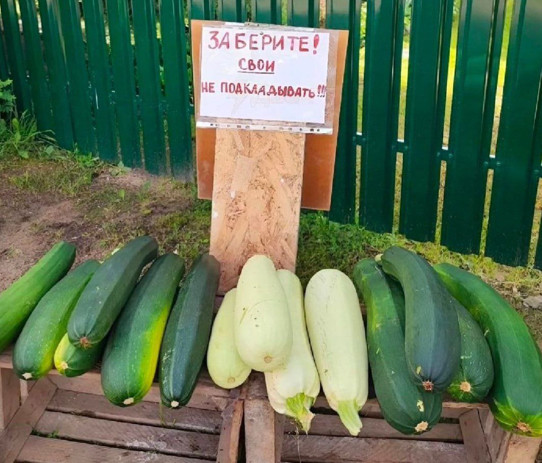 ЗАБЕРИТЕ! СВОИ НЕ ПОЖАЛОВАТЬ!