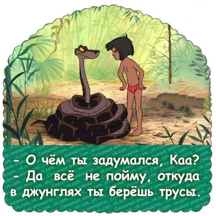 О чём ты задумался, Каа? Да всё не пойму, откуда в джунглях ты берёшь трусы.