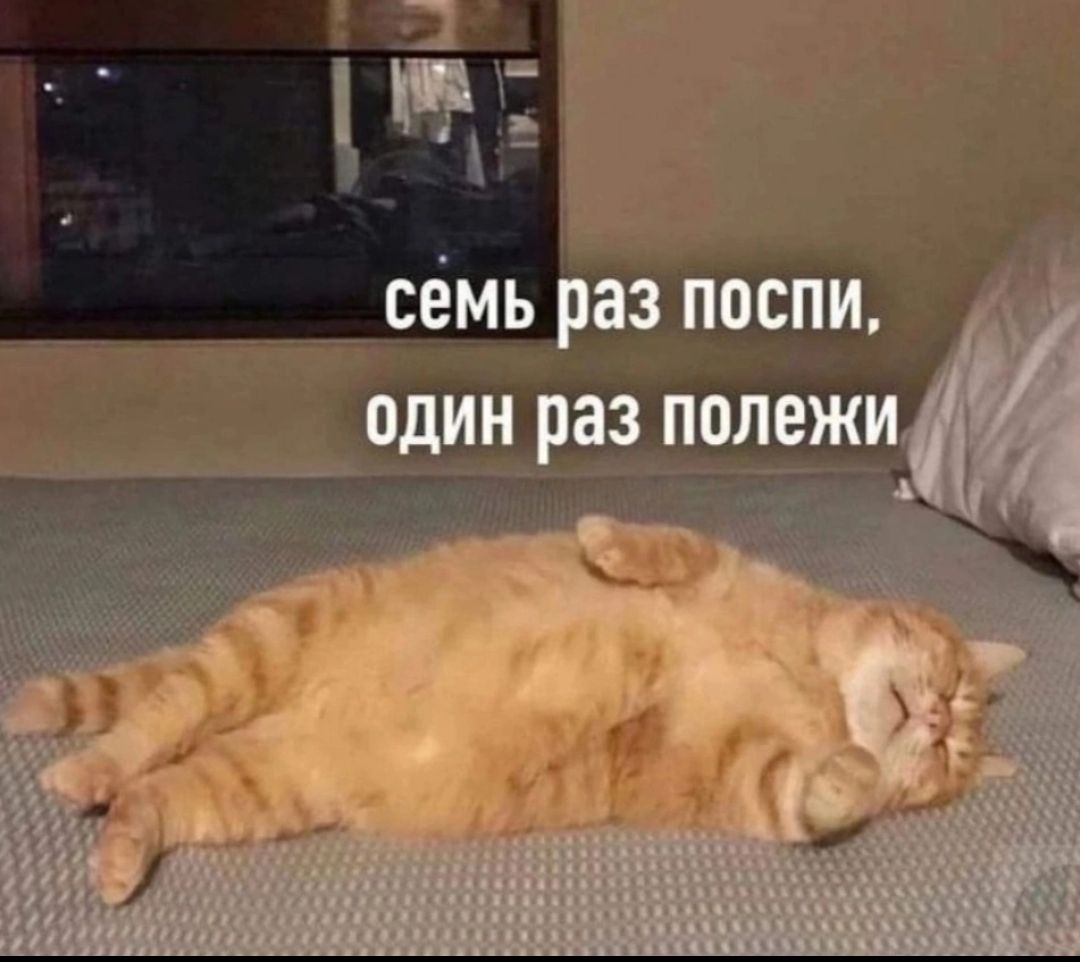 семь раз поспи, один раз полежи