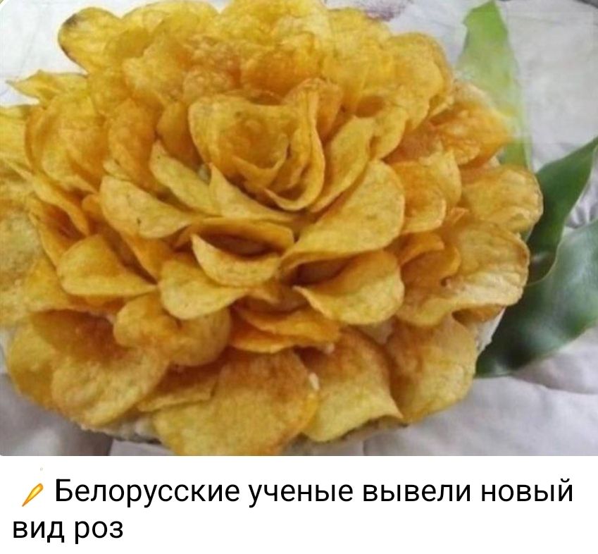 Белорусские ученые вывели новый вид роз