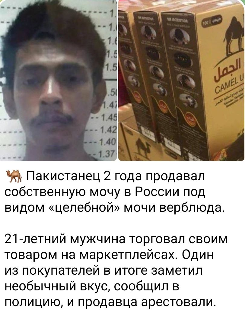 Пакистанец 2 года продавал собственную мочу в России под видом «целебной» мочи верблюда.

21-летний мужчина торговал своим товаром на маркетплейсах. Один из покупателей в итоге заметил необычный вкус, сообщил в полицию, и продавца арестовали.