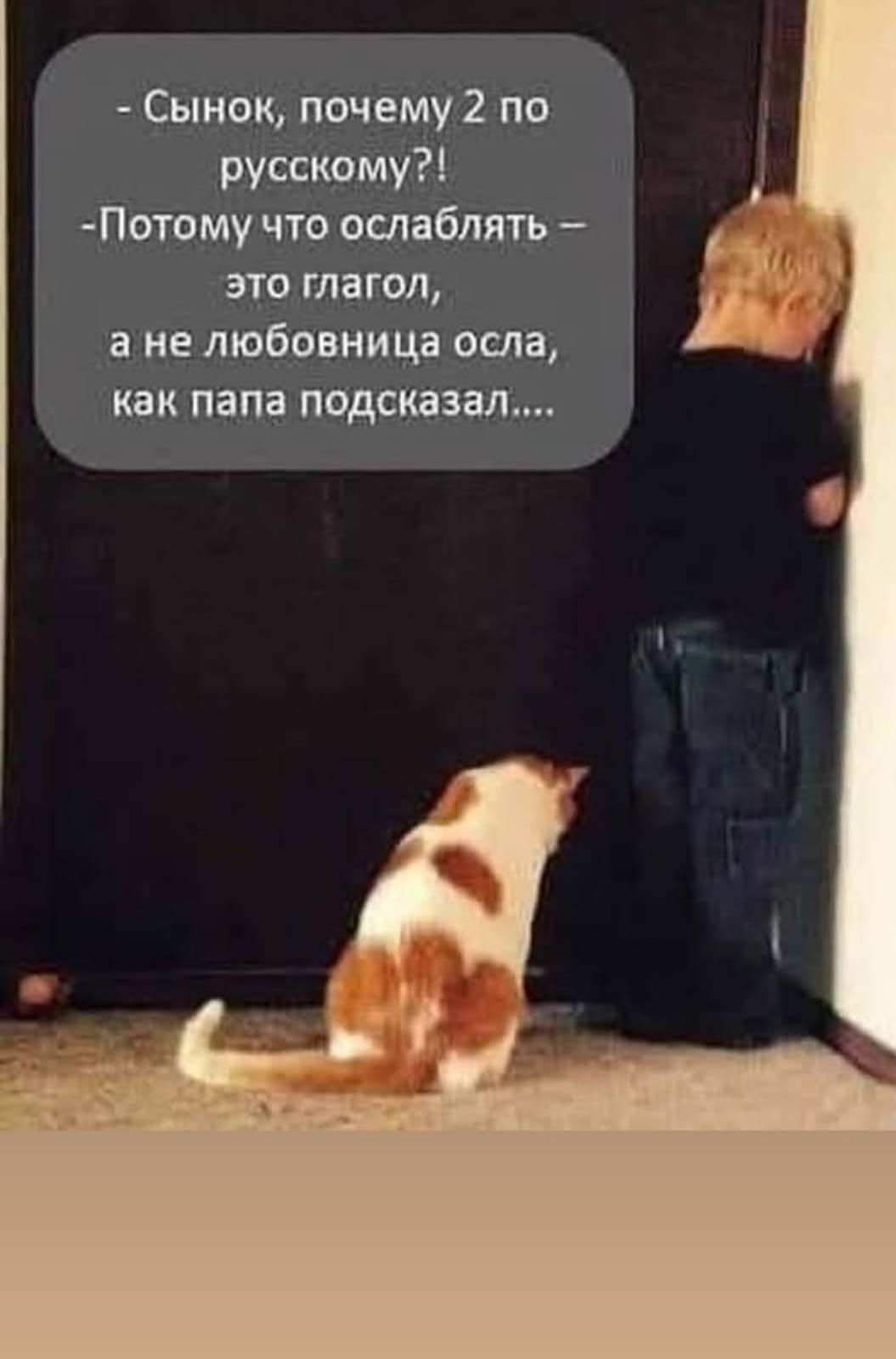 - Сынок, почему 2 по русскому?!
- Потому что ослаблять – это глагол, а не любовница осла, как папа подсказал....