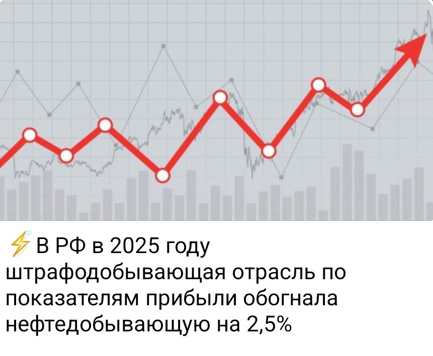 В РФ в 2025 году штрафодобывающая отрасль по показателям прибыли обогнала нефтедобывающую на 2,5%
