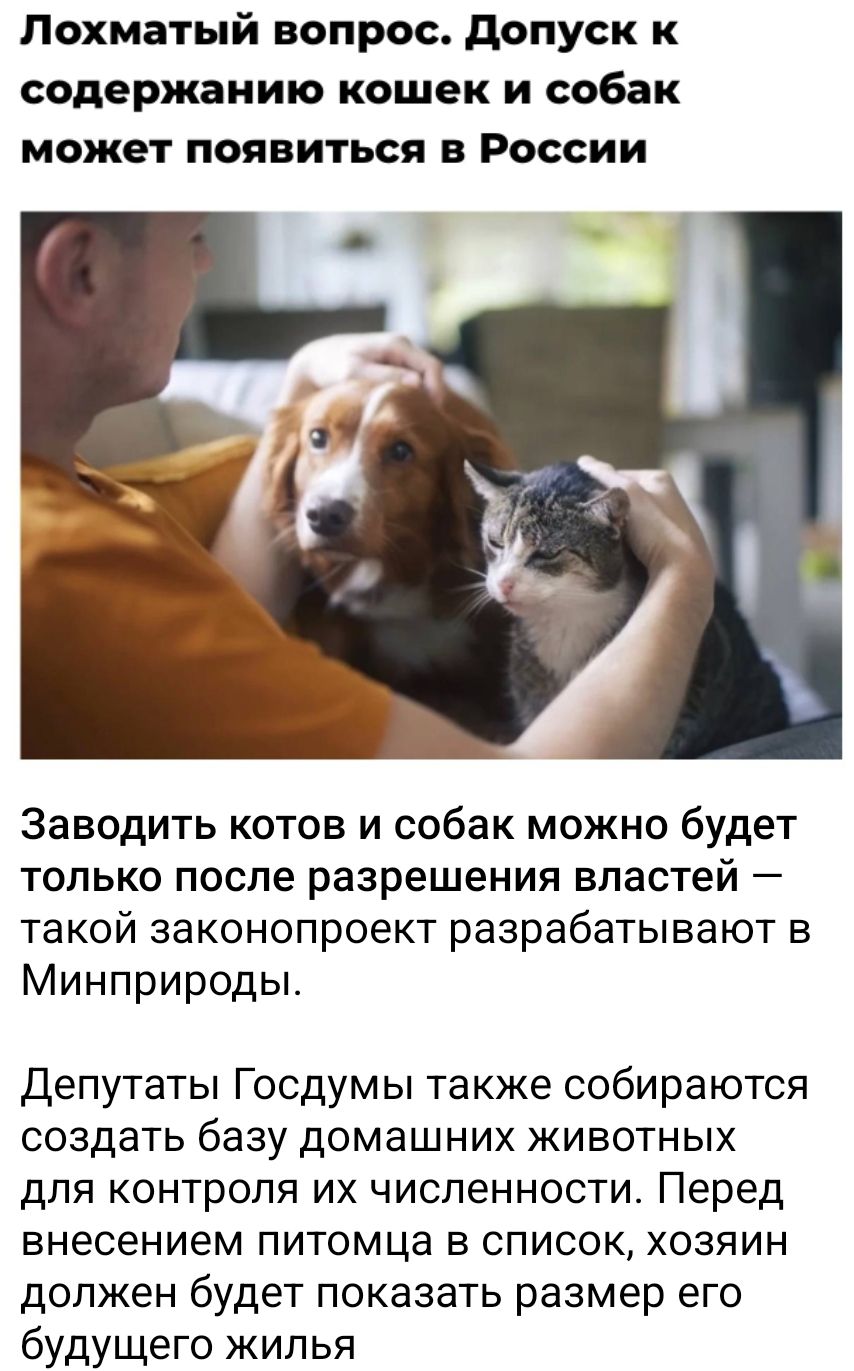 Лохматый вопрос. Допуск к содержанию кошек и собак может появиться в России

Заводить котов и собак можно будет только после разрешения властей — такой законопроект разрабатывают в Минприроды.

Депутаты Госдумы также собираются создать базу домашних животных для контроля их численности. Перед внесением питомца в список, хозяин должен будет показать размер его будущего жилья.