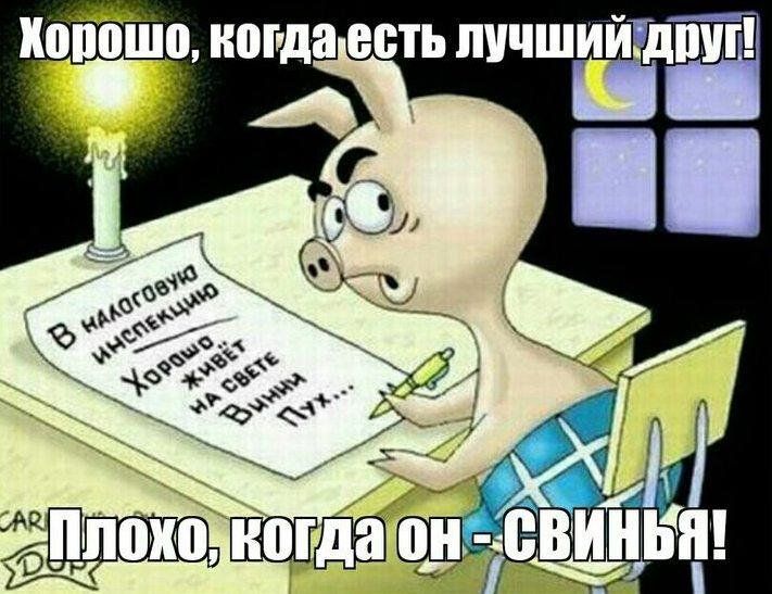 Хорошо, когда есть лучший друг! В налоговую инспекцию: Хорошо, когда на свете Винни Пух... Плохо, когда он - СВИНЬЯ!