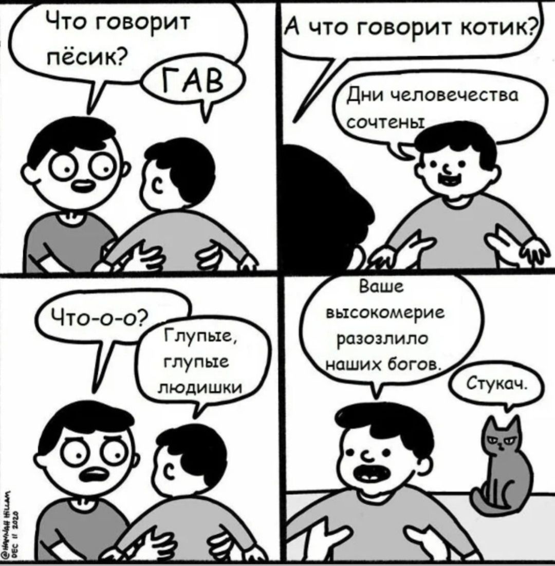 Что говорит письик? ГАВ
А что говорит котик? Дни человечества сотчены
Что-о-о? Глупые, глупые людишки
Ваше высокомерие разозлило наших богов. Стучач.