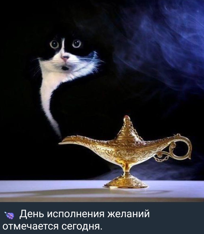 День исполения желаний отмечается сегодня.