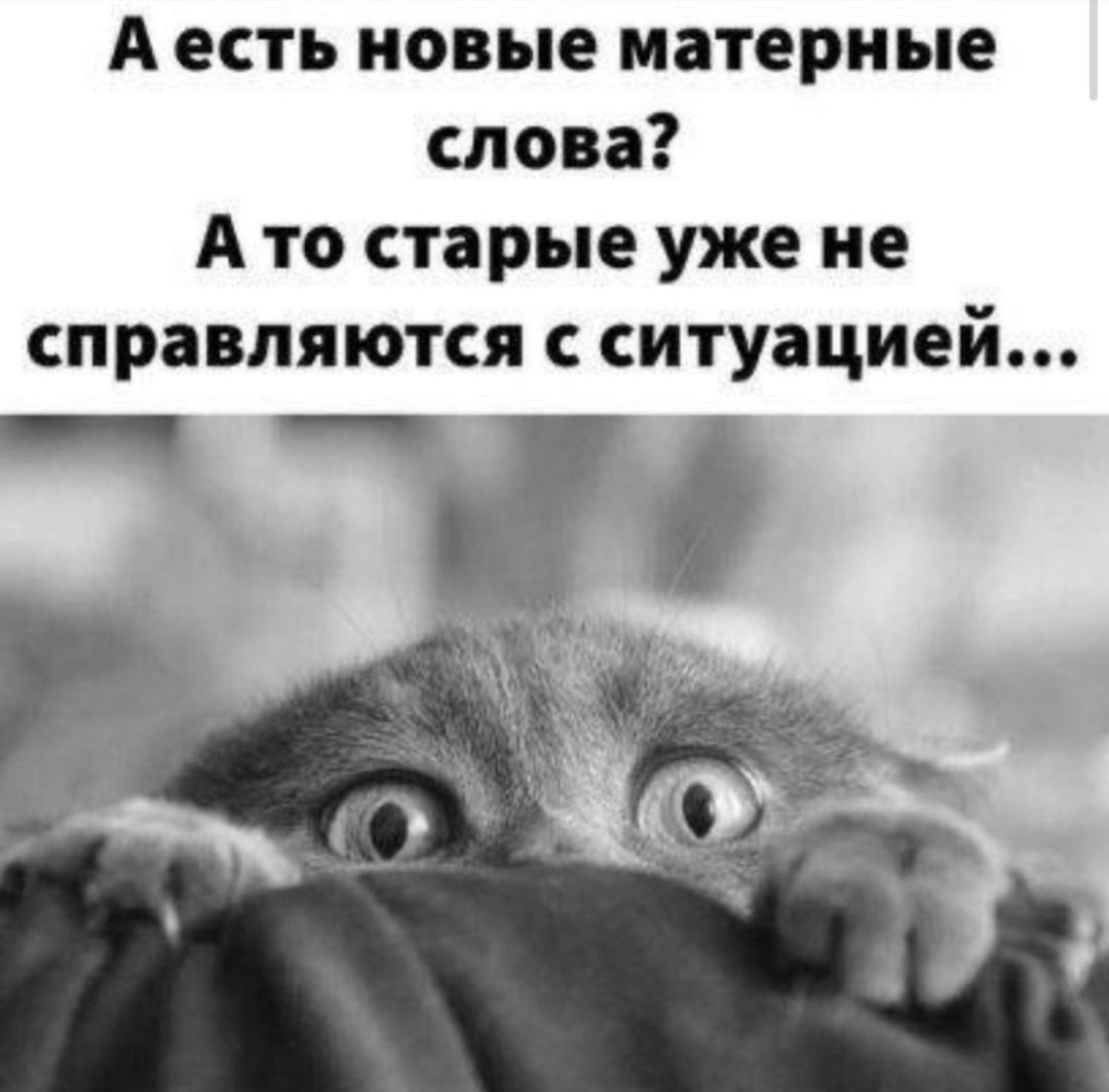 А есть новые матерные слова? А то старые уже не справляются с ситуацией...