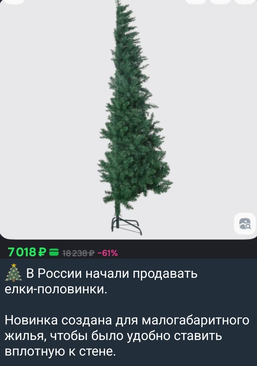 В России начали продавать елки-половинки. Новинка создана для малогабаритного жилья, чтобы было удобно ставить вплотную к стене.