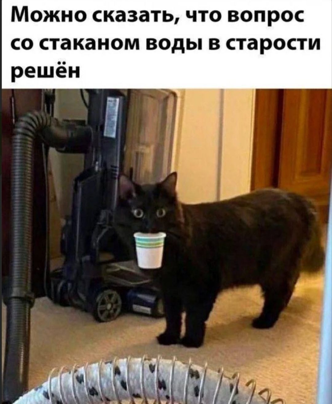 Можно сказать, что вопрос со стаканом воды в старости решён