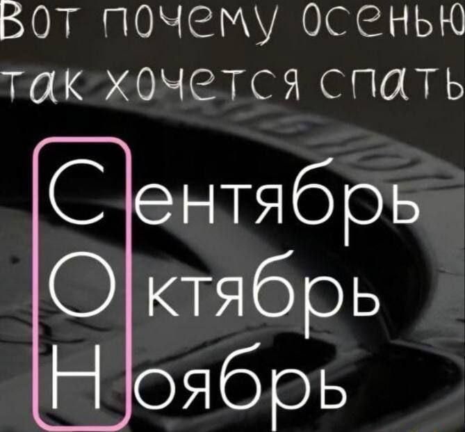 Вот почему осенью так хочется спать Сентябрь Октябрь Ноябрь