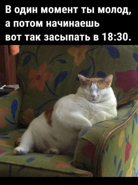 В один момент ты молод, а потом начинаешь вот так засыпать в 18:30.